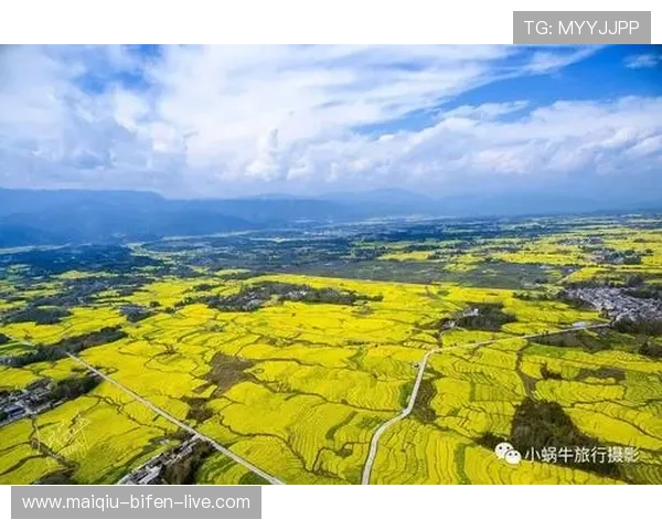 开云体育分析功能好用吗 彩票数字高频玩法防骗避坑
