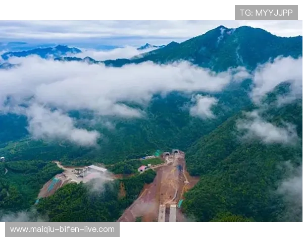 开云玩球怎么买单双避坑指南极速提现攻略